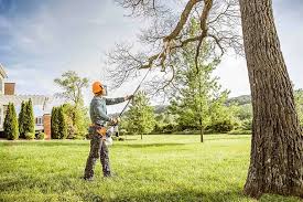 Seasonal Cleanup (Spring/Fall) in Strathmore, NJ