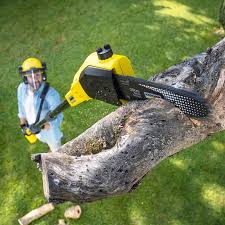 Best Arborist Consultation Services  in Strathmore, NJ