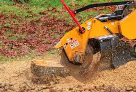 Best Lot and Land Clearing  in Strathmore, NJ